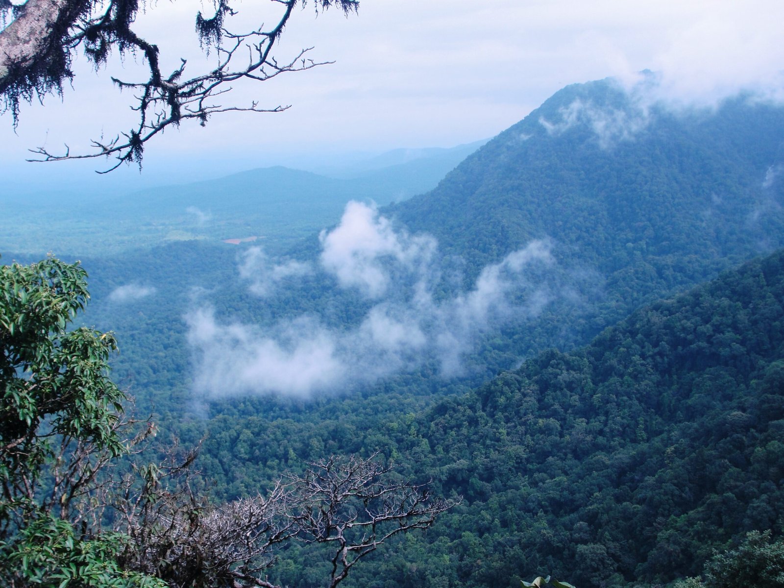 Taxi to Agumbe from Mangalore Airport