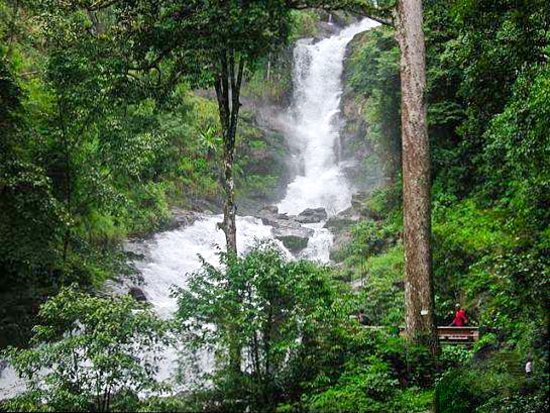 Taxi service from Mangalore Airport to Malappuram Kerala